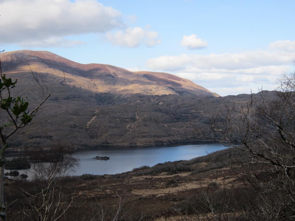 Feirm Cottage Kenmare Ngoại thất bức ảnh